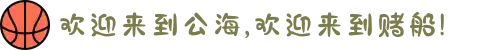 欢迎来到公海,欢迎来到赌船!